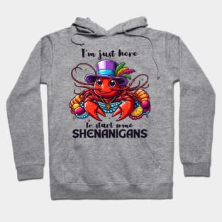 I'm Just Here To Start Some Shenanigans Hoodie